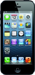 Apple iPhone 5 64GB - Барабинск